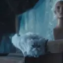 Samolepka