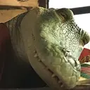 Samolepka