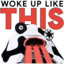 Samolepka