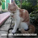 Stiker