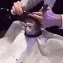 ステッカー