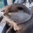 Налепница