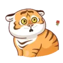 Стикер
