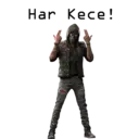 Límmiði