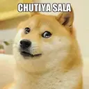 Стикер