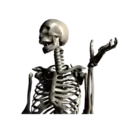 Կպչուն պիտակ