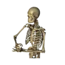 Կպչուն պիտակ