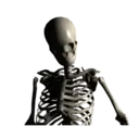 Կպչուն պիտակ