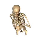 Կպչուն պիտակ