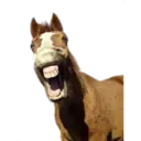 מדבקה