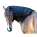 מדבקה