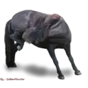 מדבקה